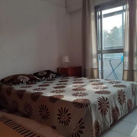 Great With Zoo View *