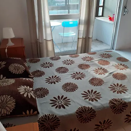Apartment Great With Zoo View
